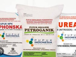 Kios Pupuk di Kota Batu Diduga Jual Pupuk Subsidi ke Wilayah Lain