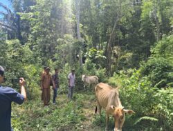 Warga Puas Realisasi Dana Desa Peninjauan Banyak Manfaat Dirasakan Masyarakat