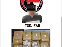 Polda Lampung Ungkap Peredaran Ganja 13,8 Kg, Satu Pengedar Turut Diamankan