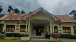 Lulus PPPK Paruh Waktu, Bidan Desa di BPRRT Tetap Lakoni Rangkap Jabatan