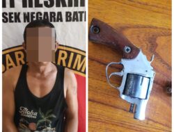 Polisi Ringkus Pria Bersenpi Asal Tulang Bawang Barat Curi Buah Sawit