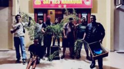 Tanam Ganja di Pot, Petani di Way Timah Ditangkap Satres Narkoba Polres OKU Selatan, BB 2,6 Kg Diamankan