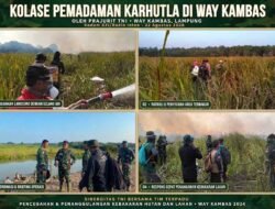 Pangdam Radin Inten Kerahkan Ratusan Prajurit dan Water Bombing, Kebakaran di Way Kambas