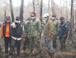 Tinjau Karhutla Way Kambas, Kepala BNPB Turun ke Lokasi Didampingi Kasrem 043/Gatam
