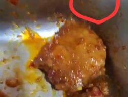 Temukan Ulat di Ompreng, Siswa Sukajaya Buay Rawan Gagal Makan MBG